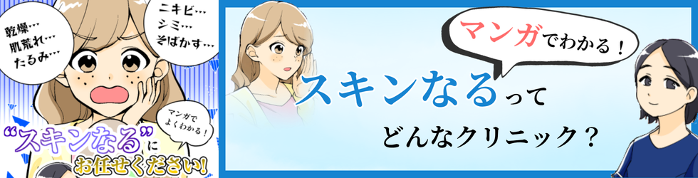 マンガでわかるスキンなる