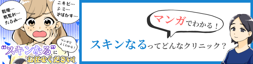 マンガでわかるスキンなる