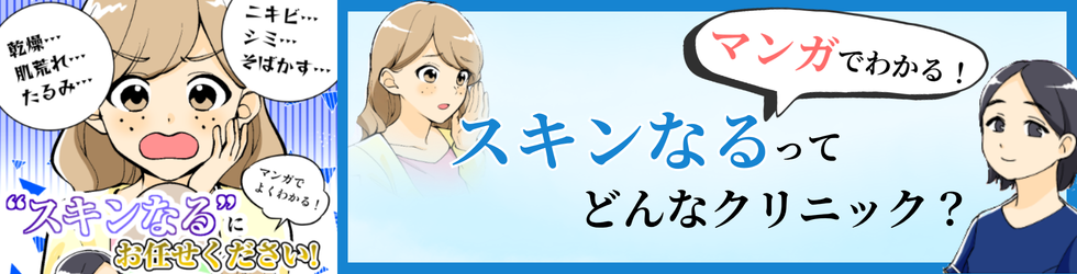 マンガでわかるスキンなる