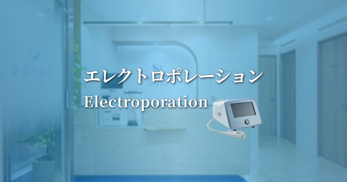 エレクトロポレーション(Electroporation)
